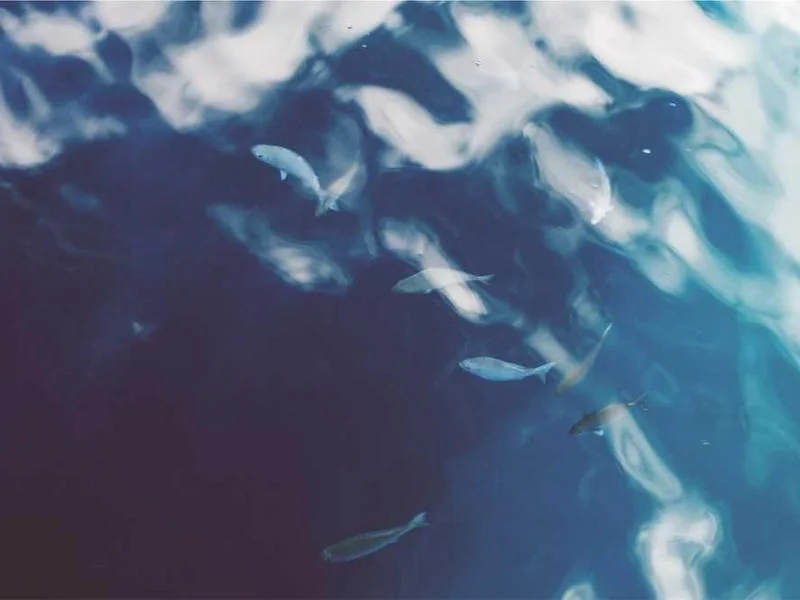 문화누리카드 충전