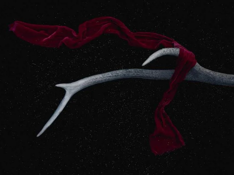 문화누리카드 충전