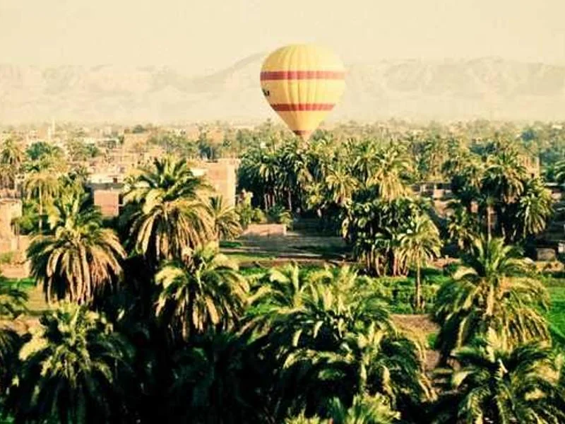 사업자 폐업 지원금