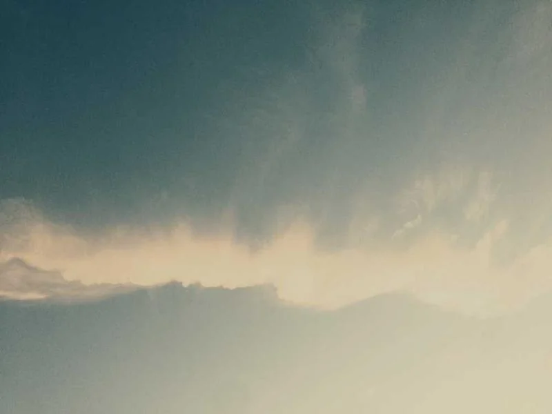 사업자 폐업 지원금