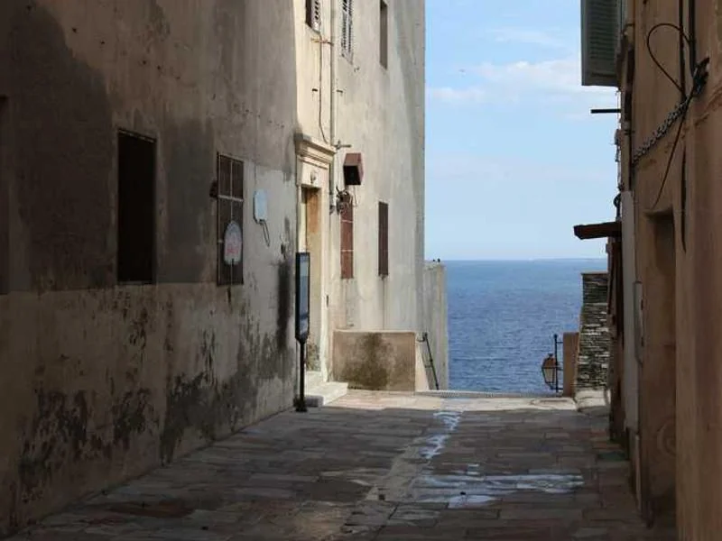 사업자 폐업 지원금