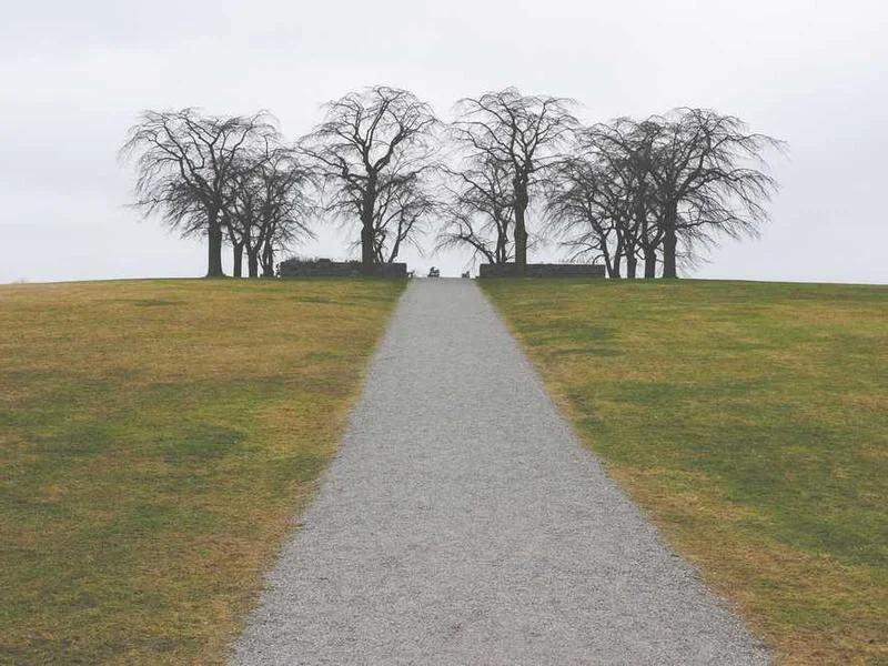 청년월세지원 조건