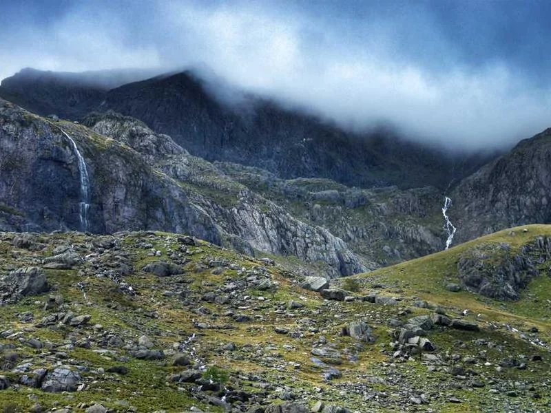 청년월세지원 조건