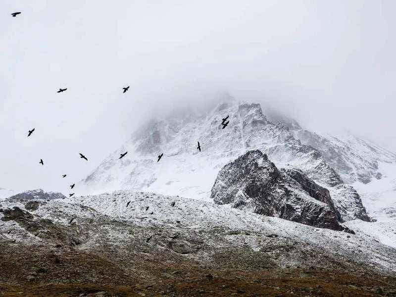 희망리턴패키지 폐업 후기