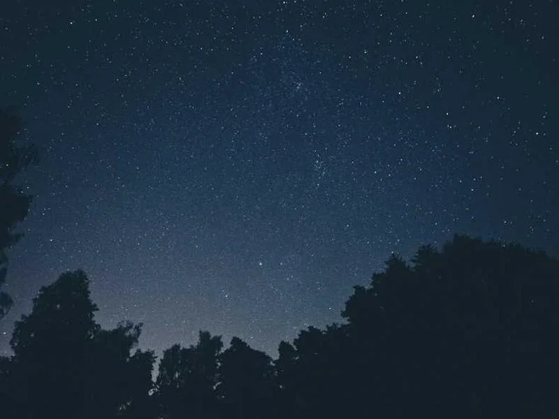 희망리턴패키지 폐업 후기