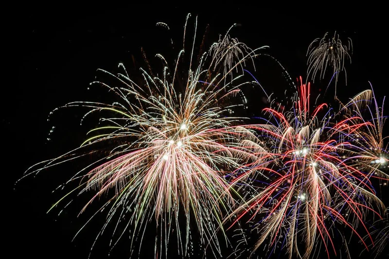 2025년 11월 축제