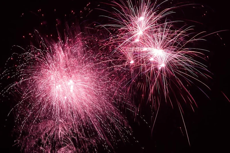 2025년 11월 축제