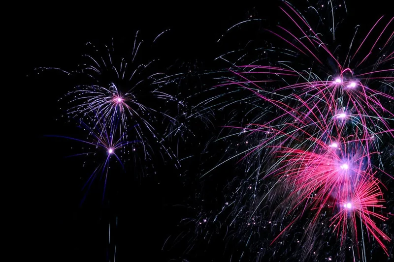 2025년 11월 축제